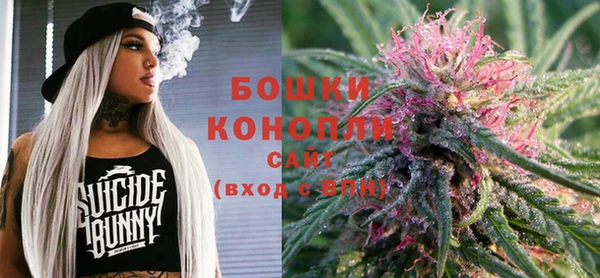 дмт Елизово