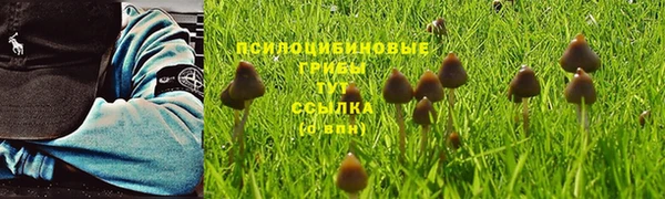 метамфетамин Ельня