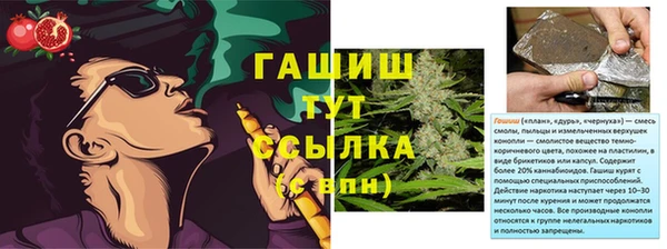дмт Елизово